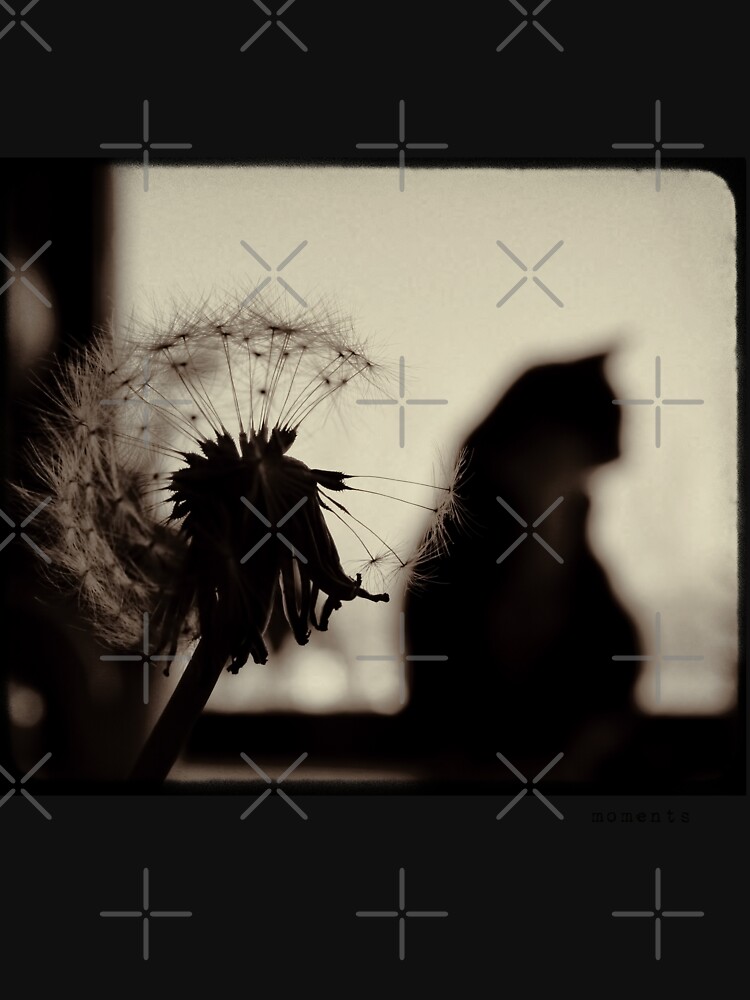 moments by Ingz