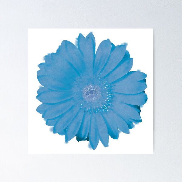  Blue-Green Daisy Gerbera Flower Wall Stickers