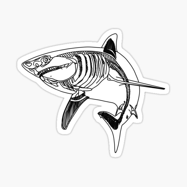 Item preview, Shark skeleton  designed and sold by Thomas Edmonds.