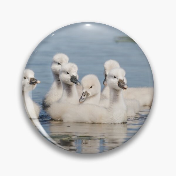 Item preview, Cygnets designed and sold by dev11588.