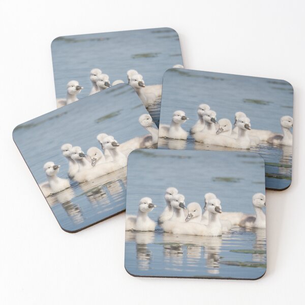 Item preview, Cygnets designed and sold by dev11588.