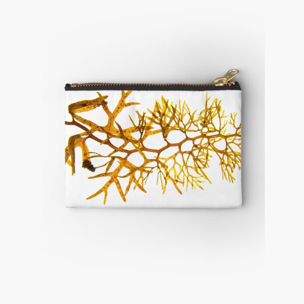 Item preview, Seaweed #19 designed and sold by dPhoto9.