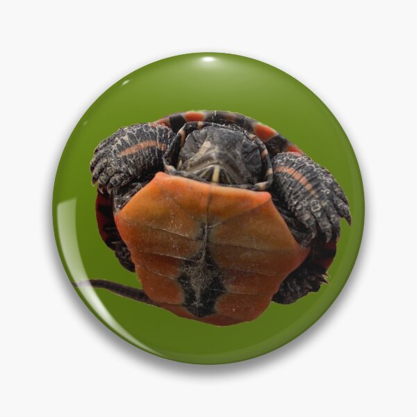 Item preview, Baby Painted Turtle designed and sold by derbyisdead.