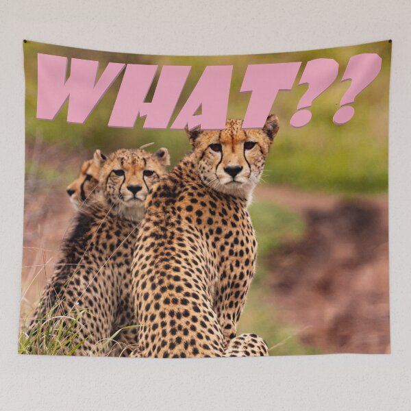 Item preview, Que?? Cheetah designed and sold by Mrdonut19.