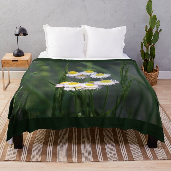 Item preview, Little Wild Daisies designed and sold by LisaNaturePhoto.