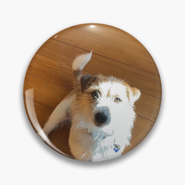 Item preview, moe the dog designed and sold by LucyGardner94.