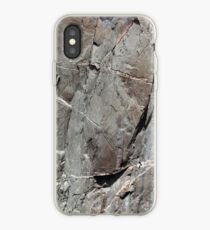 Black Canyon of the Gunnison Wall 4 iPhone-Hülle & Cover