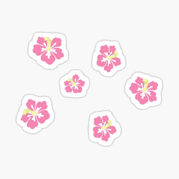 Random Sticker Pack, Aesthetic Sticker, Coconut Girl Sticker, Preppy Sticker  Pack, Aesthetic Sticker Pack 