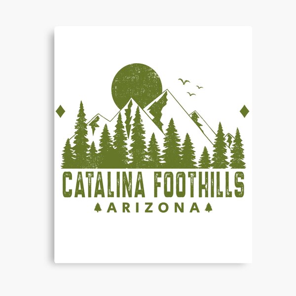 Catalina Foothills Arizona Mountain View Canvas Print