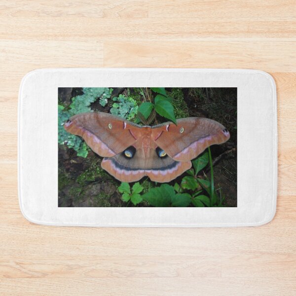 Item preview, "Polyphemus" designed and sold by Robert Regenold's Art Shop.