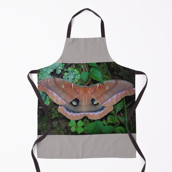 Item preview, "Polyphemus" designed and sold by Robert Regenold's Art Shop.