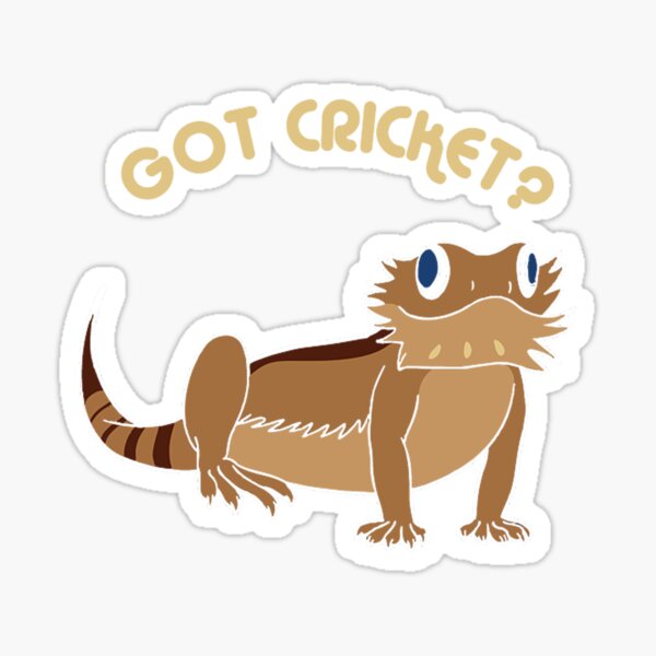 bearded dragon herps reptile pets lizard funny got cricket Sticker