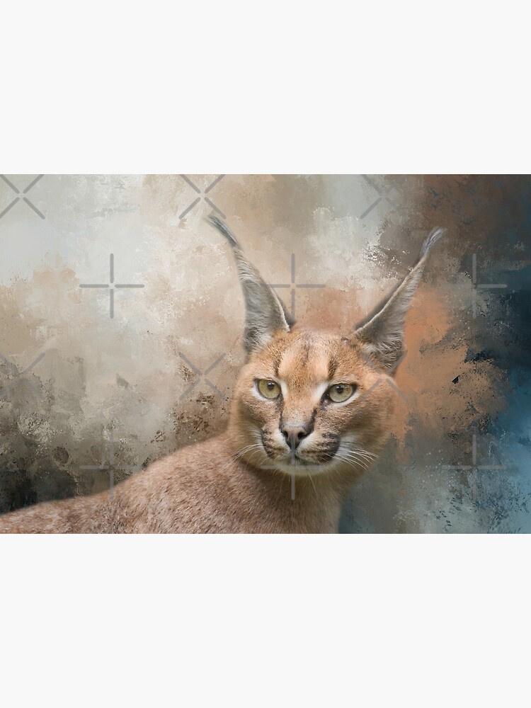 Caracal Cat One | Art Board Print