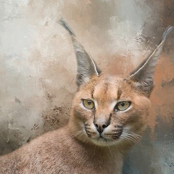 Caracal Cat One | Art Board Print