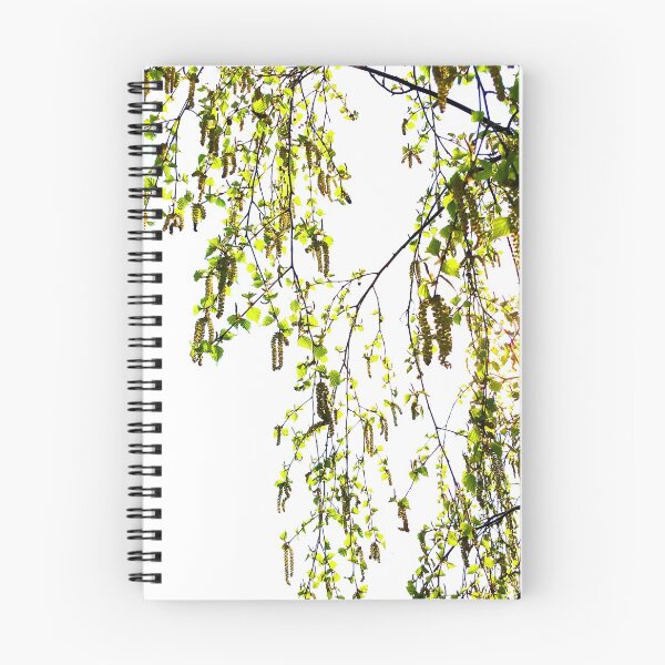 Item preview, Birch branches  designed and sold by Greengardens36.