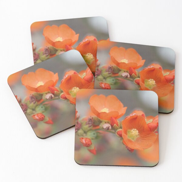 Item preview, Sphaeralcea munroana designed and sold by SDym Photography.