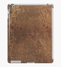 Vintage Pictorial Map of Toronto Canada (1876) iPad Case/Skin