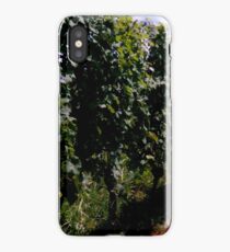 Summer Vineyard iPhone Case