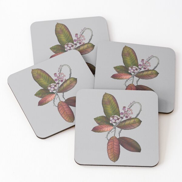 Item preview, Hoya sp. Gunung Gading in bloom designed and sold by Wieskunde.