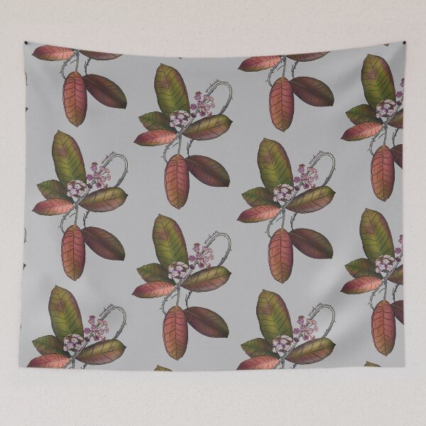 Item preview, Hoya sp. Gunung Gading in bloom designed and sold by Wieskunde.
