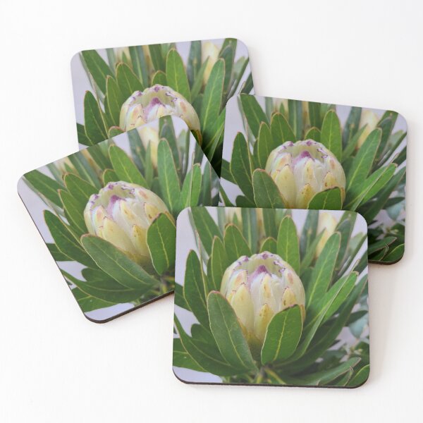 Aperçu de l'œuvre Protea créée et vendue par thephdcreative.