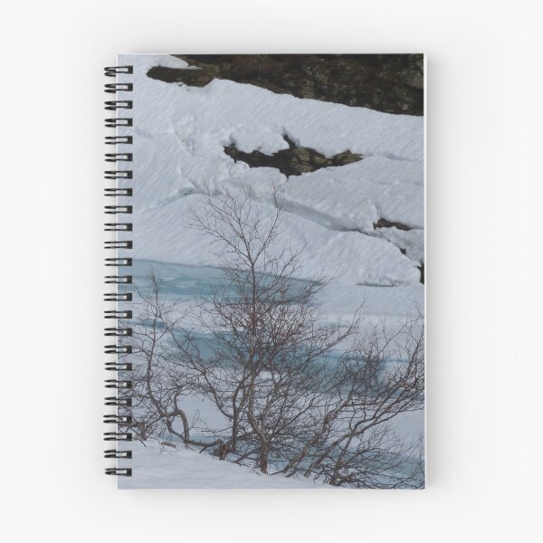 Item preview, Winter snow thawing showing blue water designed and sold by dees-photos.