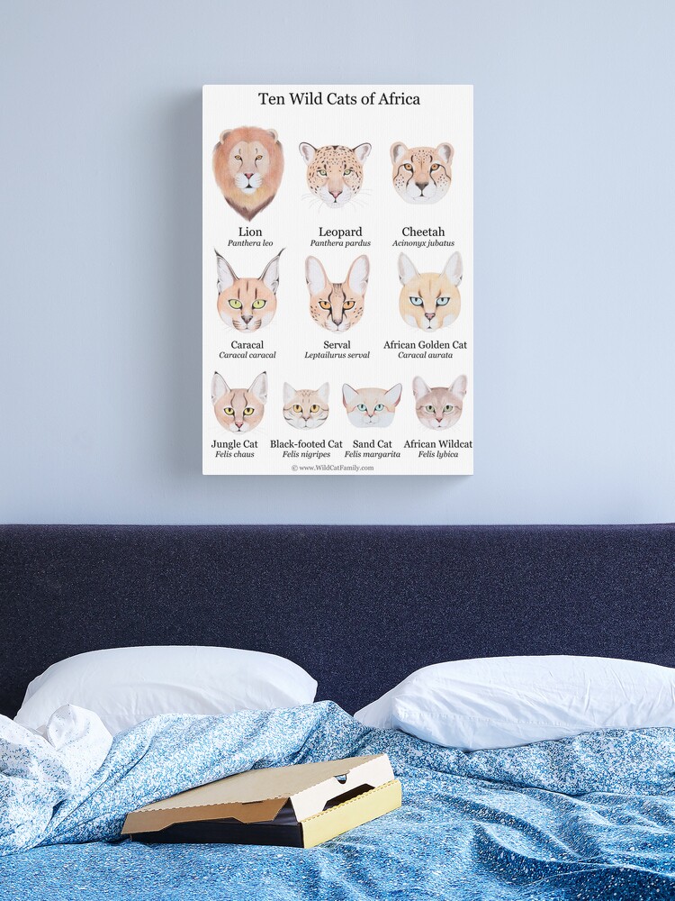 Ten Wild Cats of Africa Chart