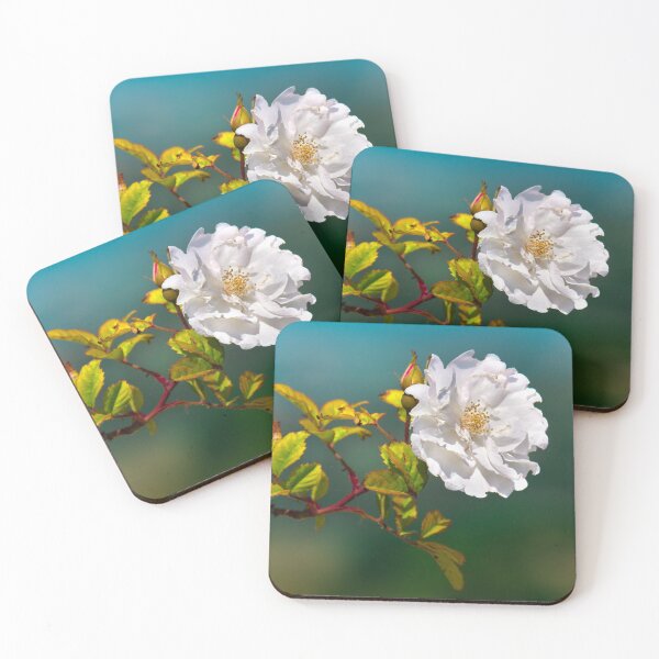 Item preview, white flower horizontal background big size image rose  designed and sold by fineartitalia.