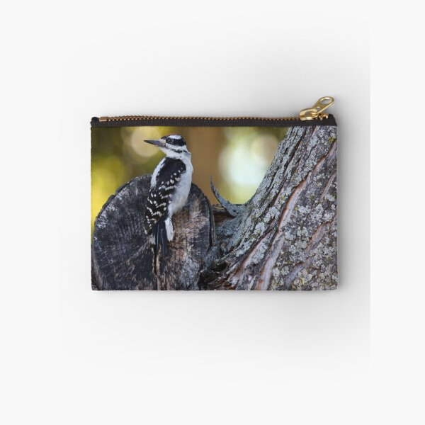 Item preview, Juvenille Hairy Woodpecker - Male, Picoides villosus designed and sold by Lynda McDonald.