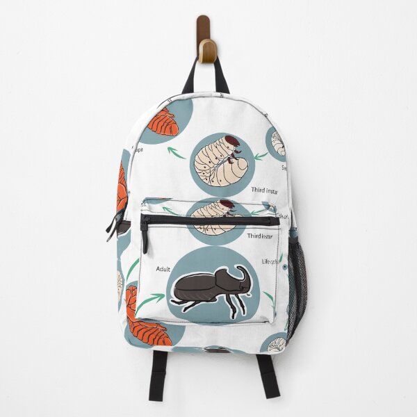 Item preview, Life cycle of rhino beetle designed and sold by wonderisland.