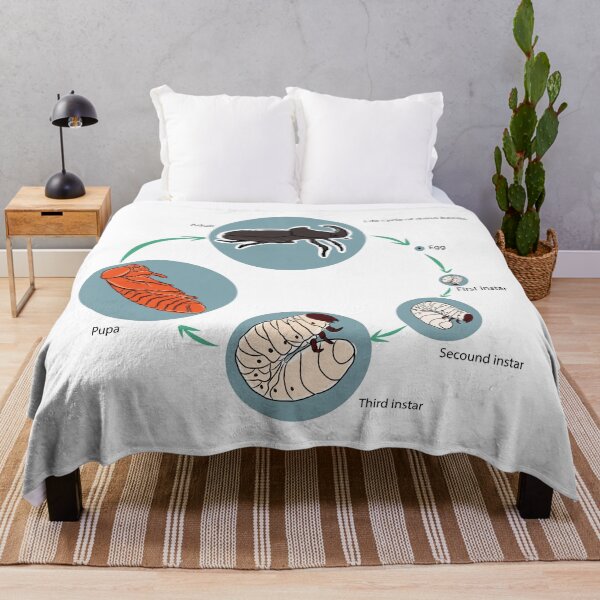 Item preview, Life cycle of rhino beetle designed and sold by wonderisland.