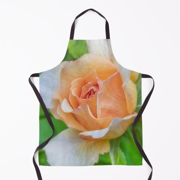 Item preview, Orange Rose designed and sold by Dave Hare Photography.
