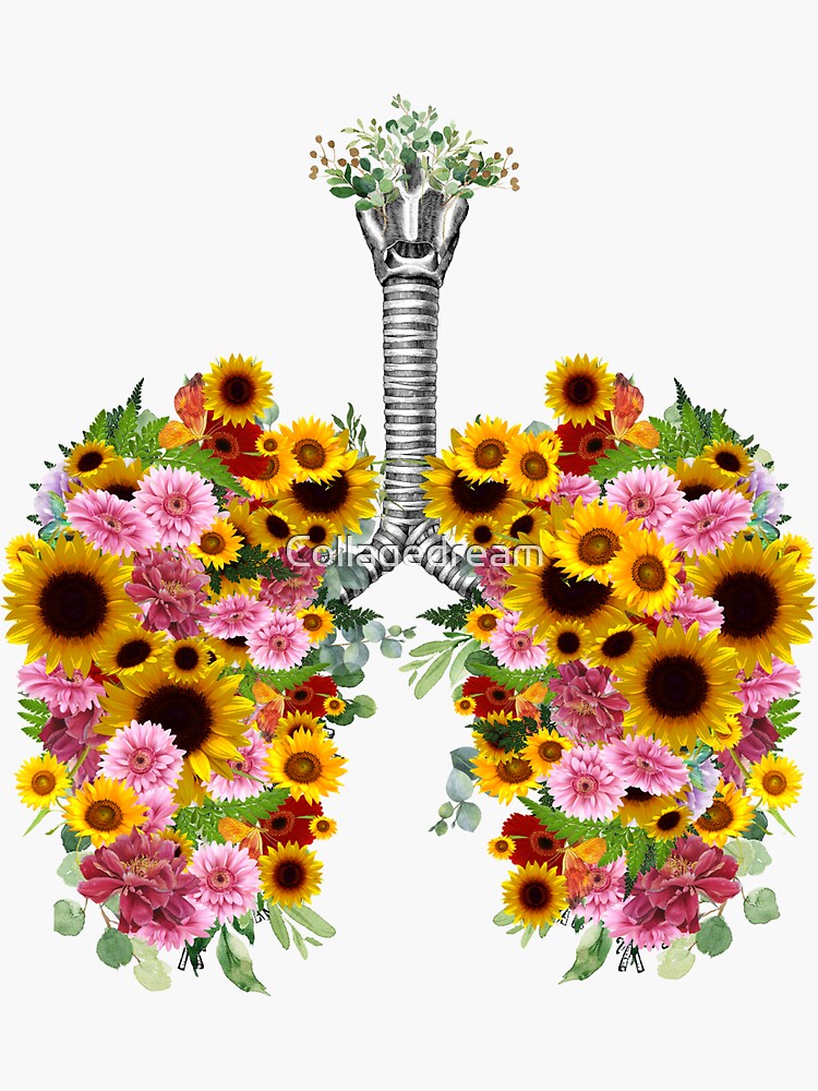 "Lungs with sunflowers and pink flowers, lungs cancer, respiratory therapist" Sticker for Sale