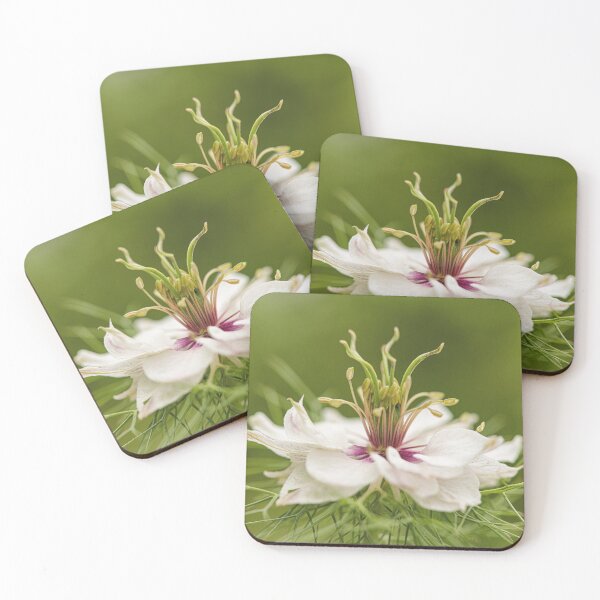 Item preview, White flower ,dancing in the grass designed and sold by kathleenjean.