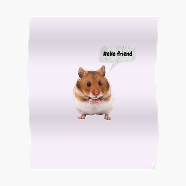 My Image 24