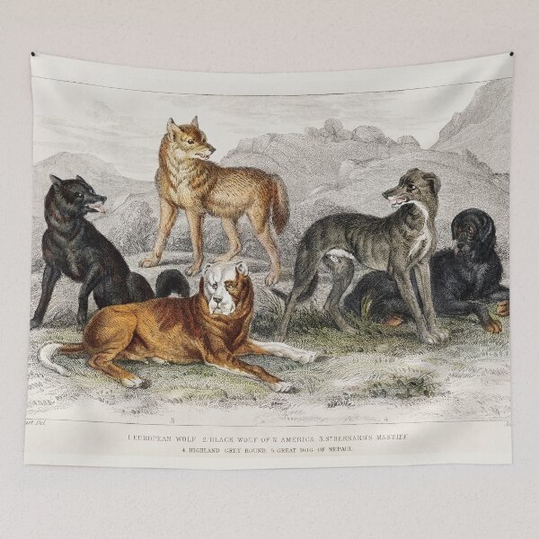 Item preview, Dogs & Wolves - by Oliver Goldsmith 1820 designed and sold by Freewheeling.