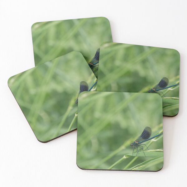 Item preview, Just Resting designed and sold by IanJSutherland.
