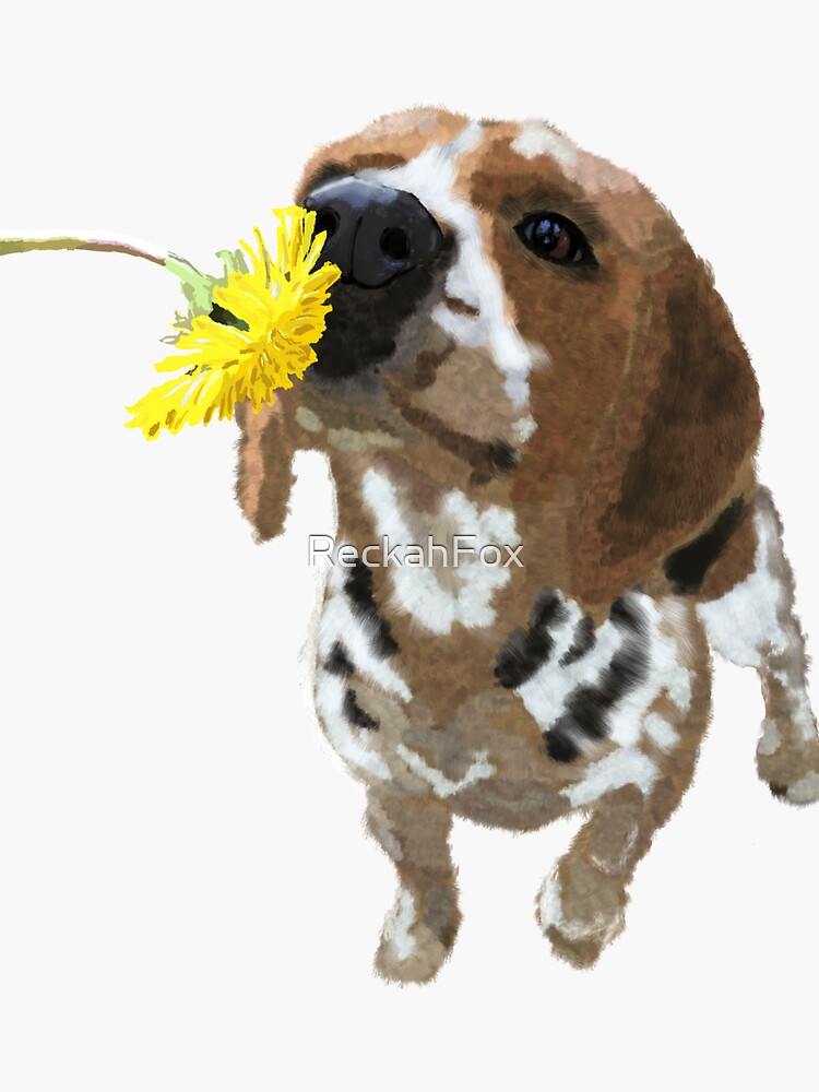 "Puppy Dog Dandelion Flower Art" Sticker for Sale by ReckahFox Redbubble