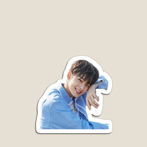 CHA EUN WOO Magnet for Sale by Divya21