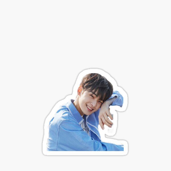 Cha eun woo astro member  Sticker for Sale by Divya21