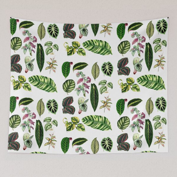 Item preview, Tropical houseplants collection designed and sold by chimakingthings.