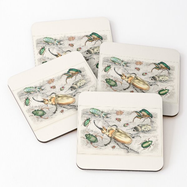 Item preview, Bugs and Beetles - by Oliver Goldsmith 1820 designed and sold by Freewheeling.
