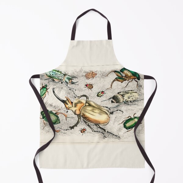 Item preview, Bugs and Beetles - by Oliver Goldsmith 1820 designed and sold by Freewheeling.