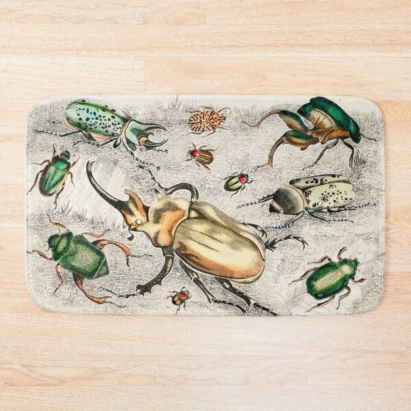 Item preview, Bugs and Beetles - by Oliver Goldsmith 1820 designed and sold by Freewheeling.