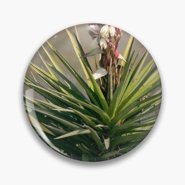 Item preview, Soap Tree Yucca designed and sold by Texas Enfocus Photography.
