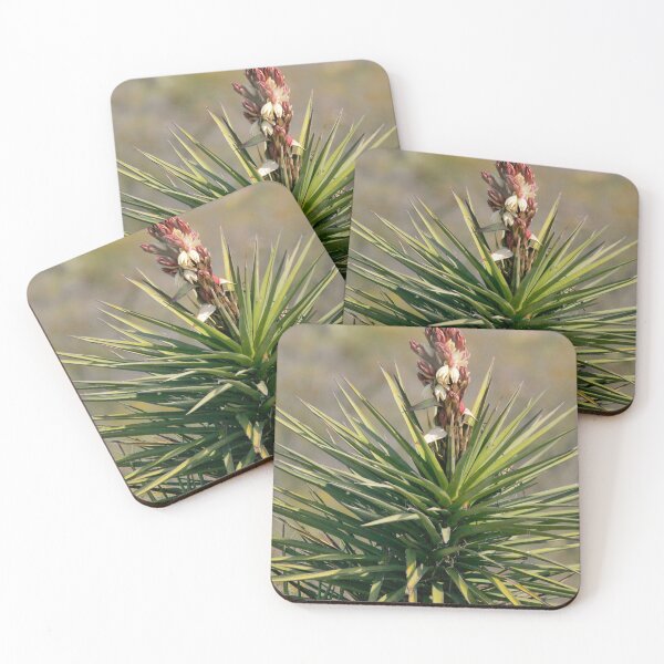 Item preview, Soap Tree Yucca designed and sold by Texas Enfocus Photography.