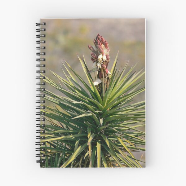 Item preview, Soap Tree Yucca designed and sold by Texas Enfocus Photography.