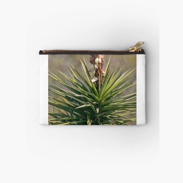 Item preview, Soap Tree Yucca designed and sold by Texas Enfocus Photography.