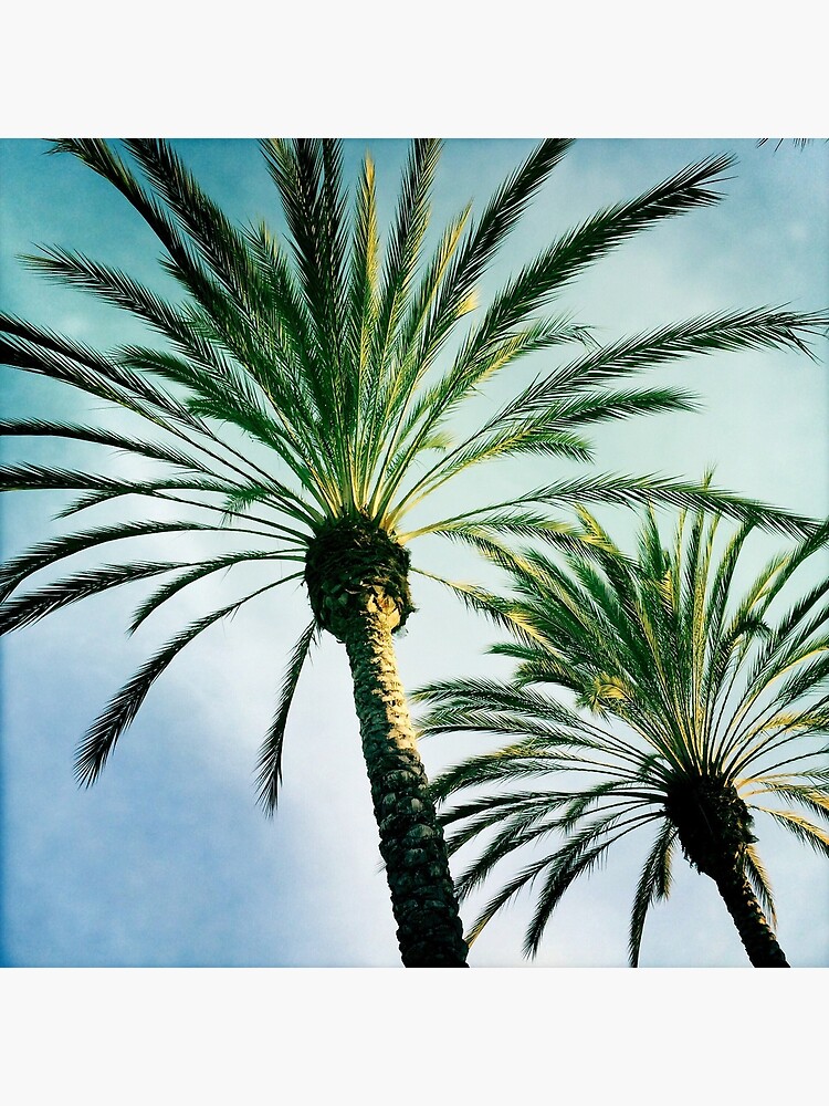 Thumbnail 7 of 7, Framed Art Print, Two Palms designed and sold by DamnAssFunny.
