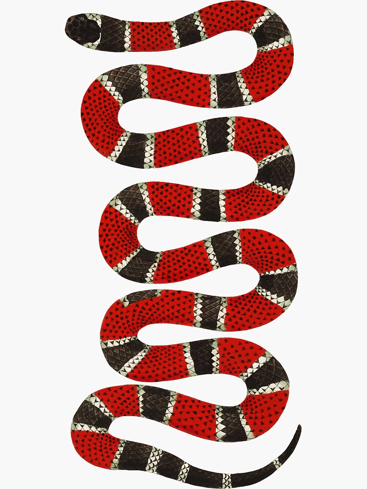 Coral Snake' Sticker